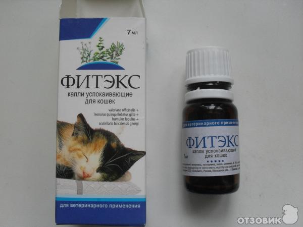 Успокоительные средства для кошек и котов