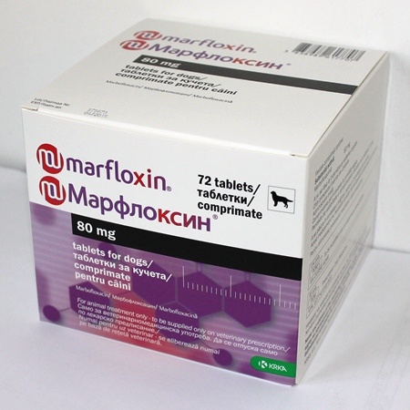 Препарат Марфлоксин: помощь в борьбе с инфекционными заболеваниями у кошек