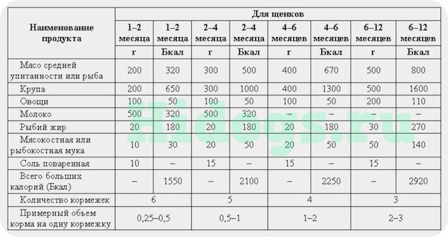 Сколько раз кормить алабая