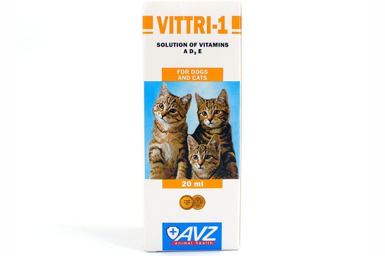 Виттри 1 – комплекс для кошек и котов