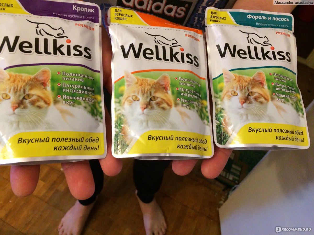 Корм для кошек марки Wellkiss