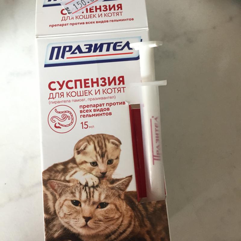 Суспензия от глистов для кошек и котят