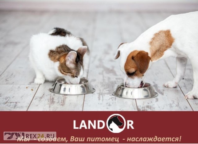 Корм для собак «Ландор» (landor): состав