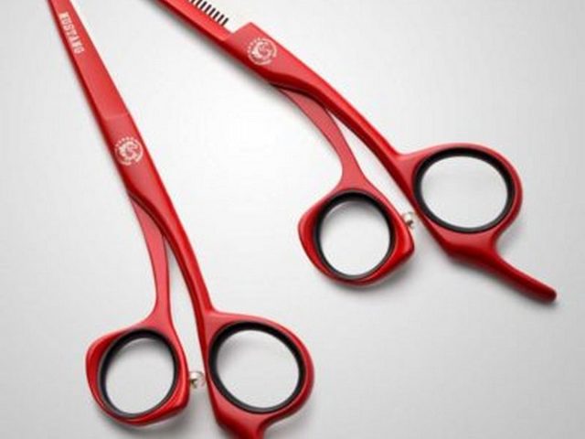 Ножницы для стрижки собак: филировочные и изогнутые варианты