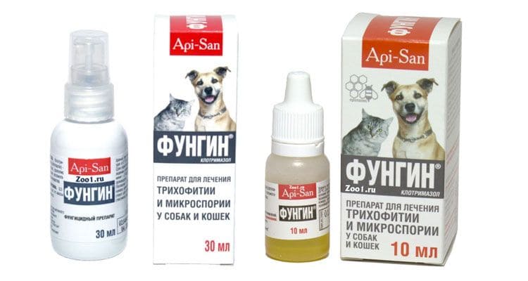 Фунгин Форте – препарат для кошек и котов