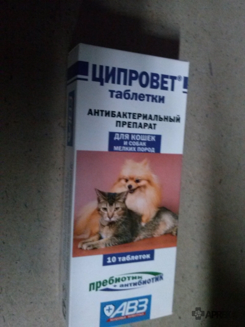 Тилозин для кошек