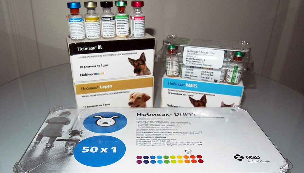 Вакцина Каниген для собак