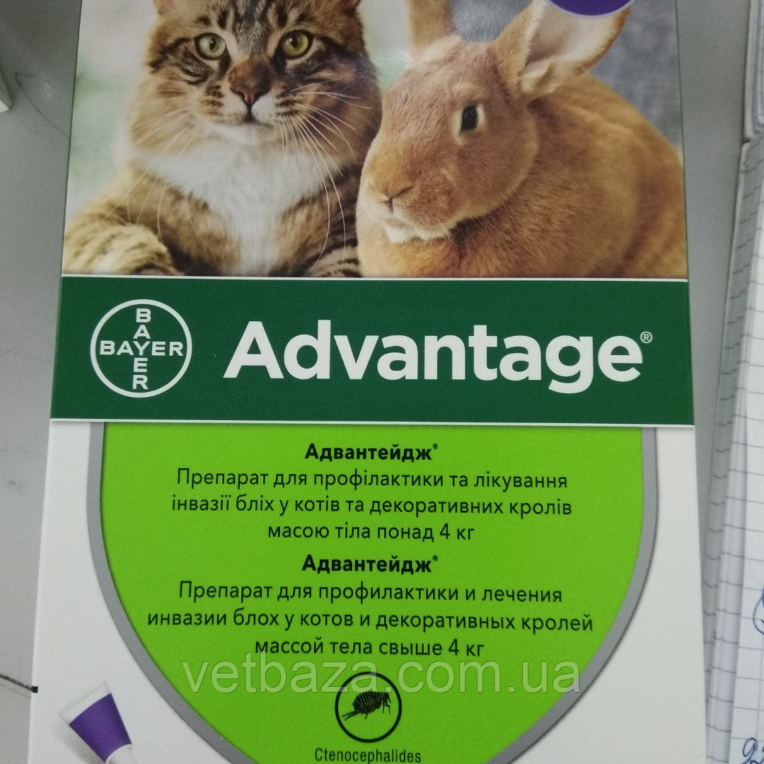 Капли от блох для кошек: средство, таблетки