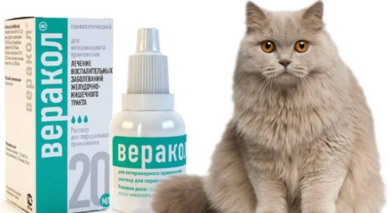 Вазелиновое масло для лечения запоров у кошек