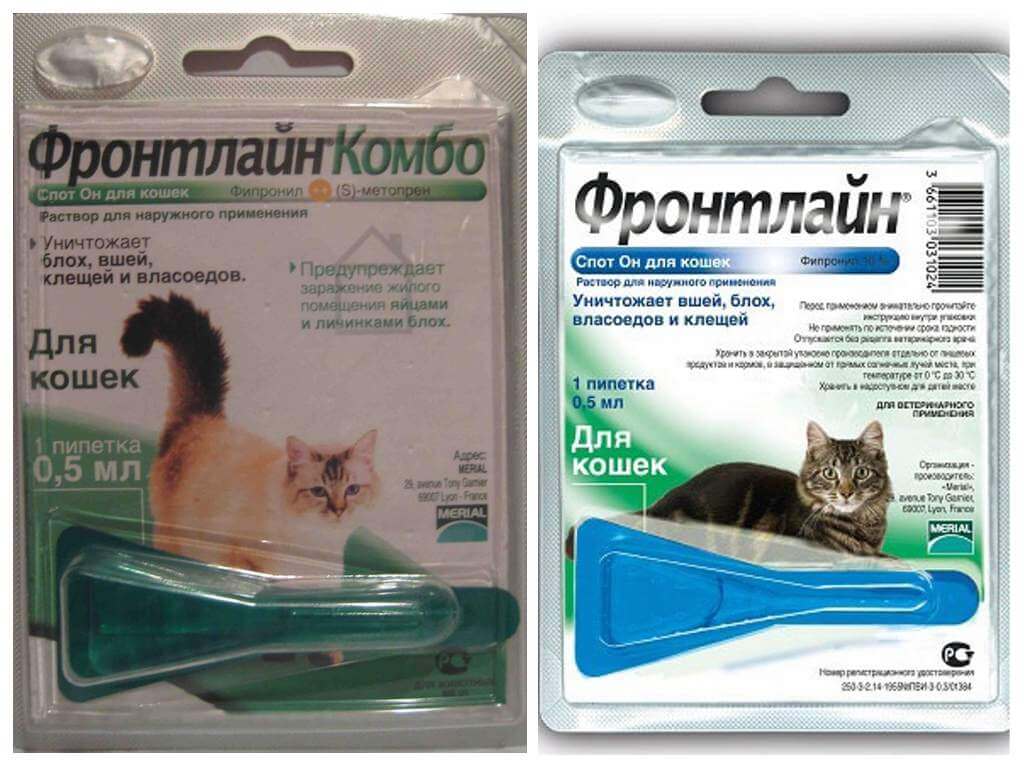 Описание препарата Фронтлайн для кошек