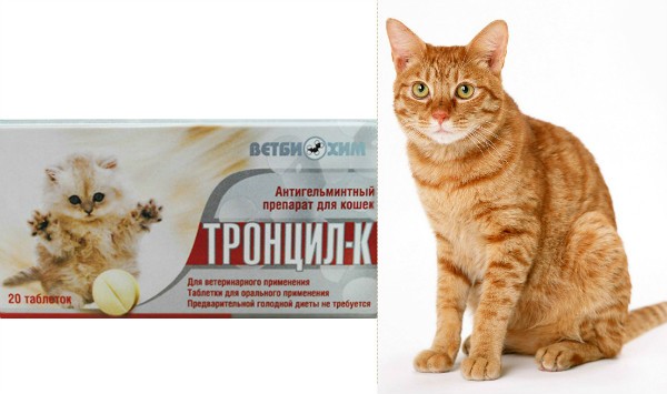 Тронцил-К: эффективное средство от гельминтозов у кошек
