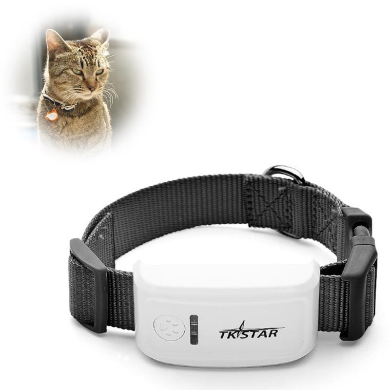 GPS ошейник для кошек (трекер): какой самый маленький
