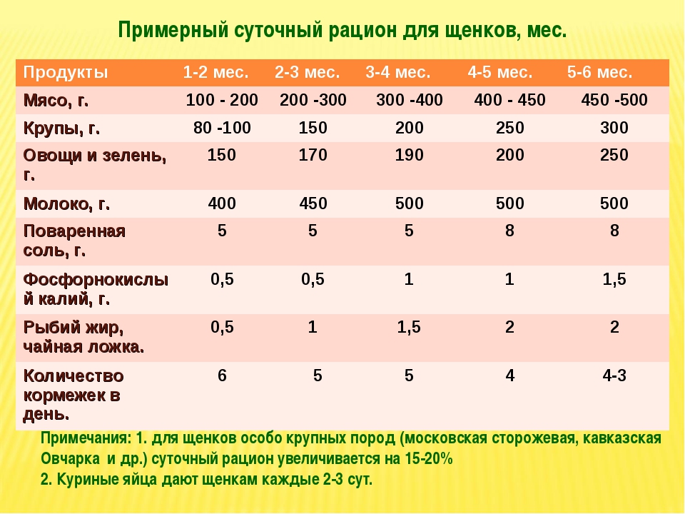 Из каких круп можно варить кашу для йорков