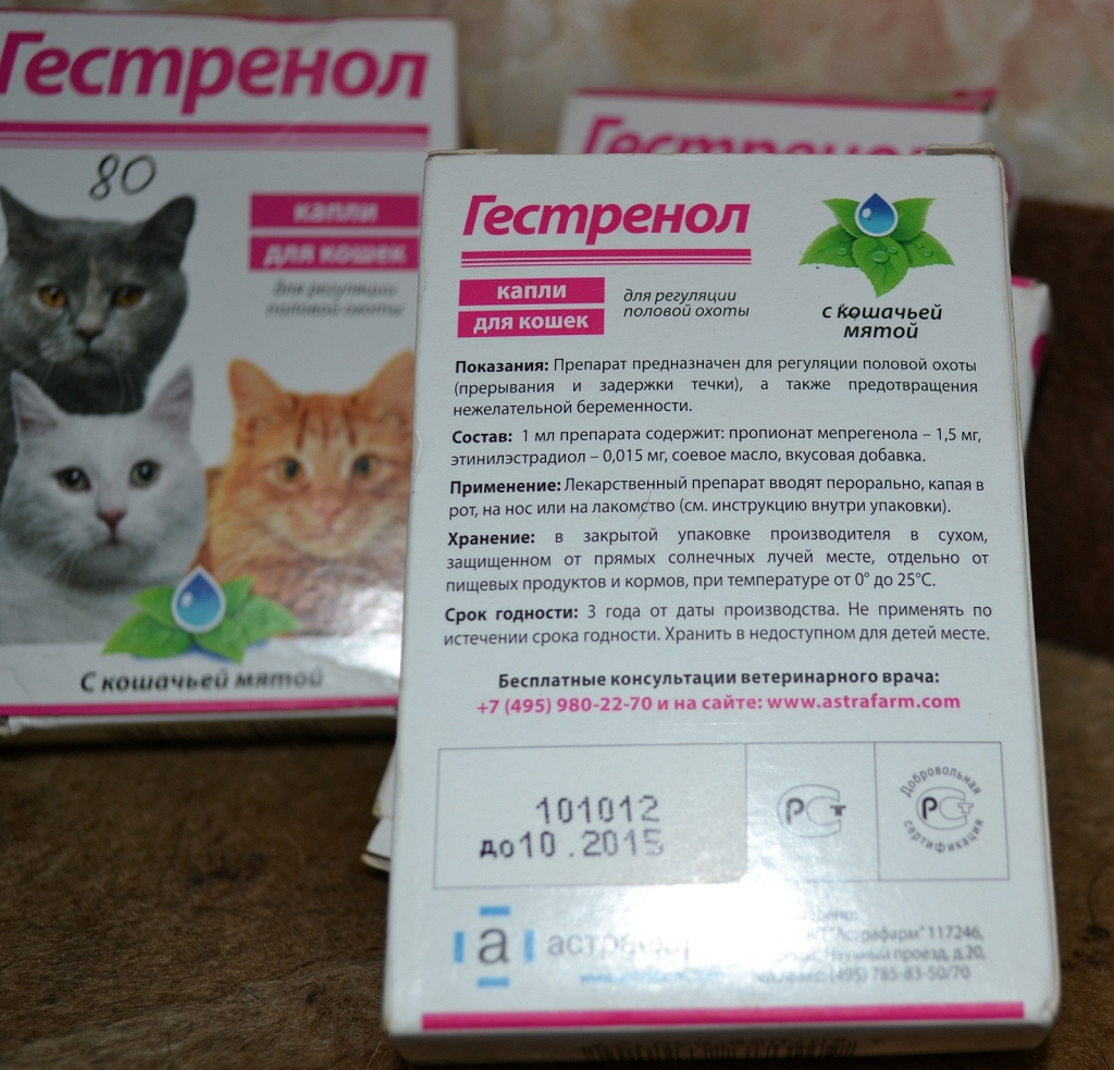 Препарат Гестренол: эффективная регуляция половой охоты у кошек