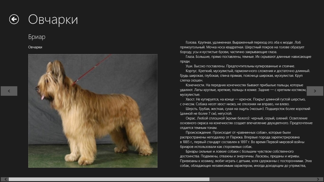 Самая древняя порода собак в мире: обзор