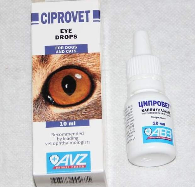 Инструкция по применению ветеринарного препарата Ципровет