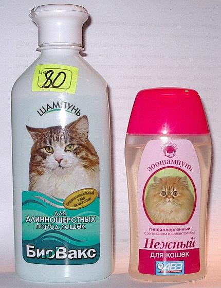 Шампунь для кошек и котят от выпадения шерсти