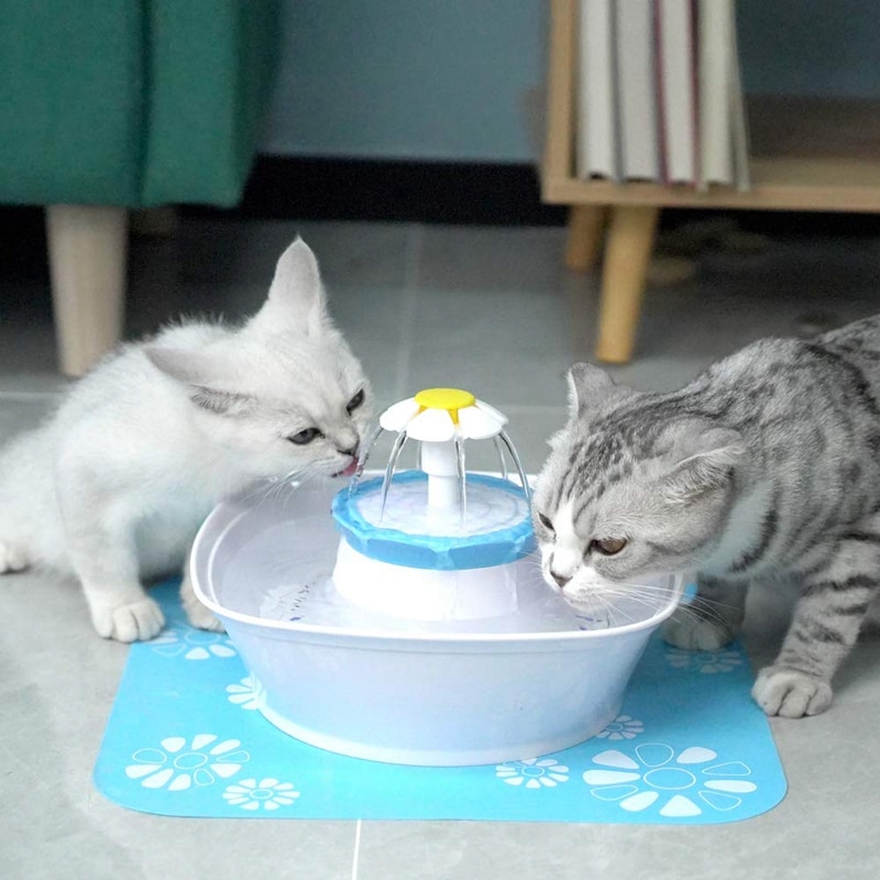 Поилка для кошек: автоматический фонтанчик своими руками