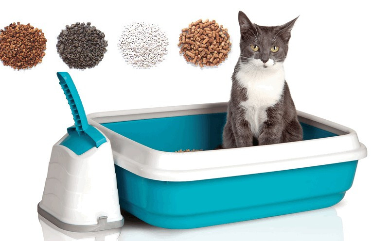 Наполнитель для кошачьего туалета Cats Best
