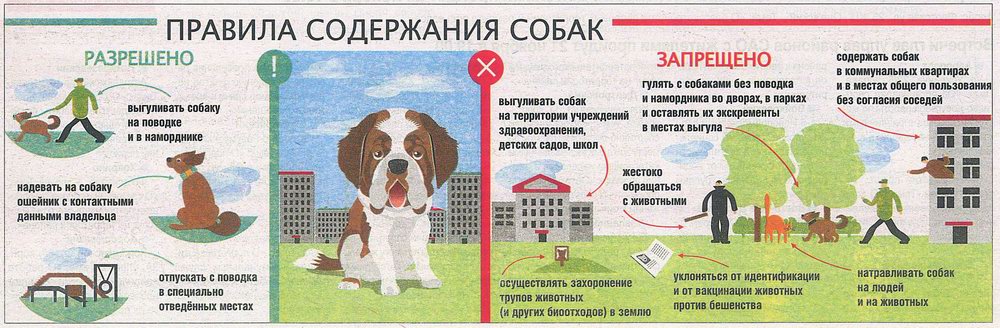 Собака в доме по православию: почему нельзя держать