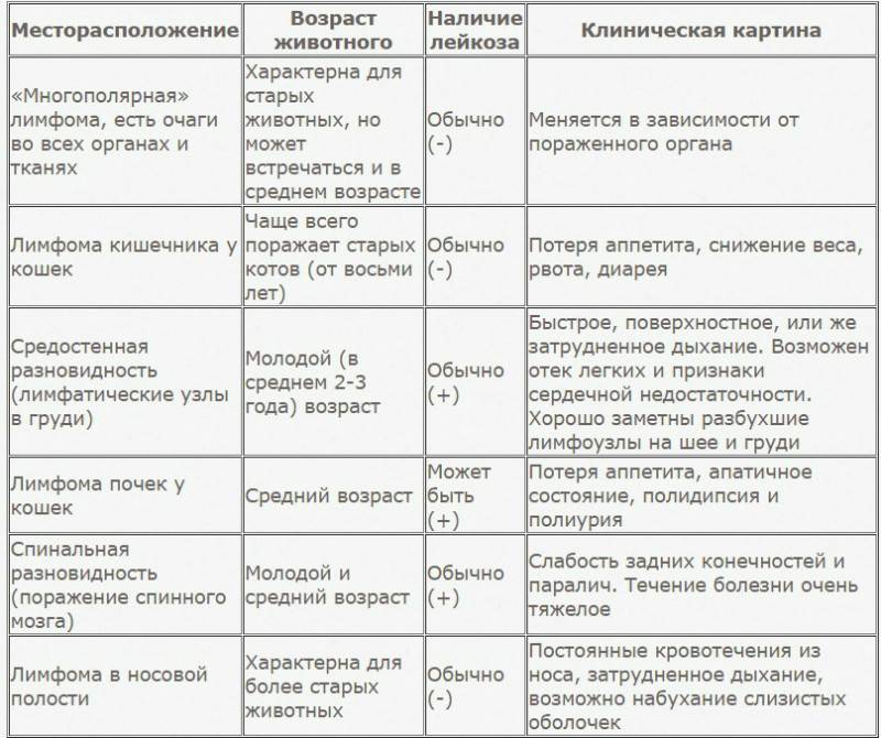 Болезни собак симптомы таблица и лечение с картинками