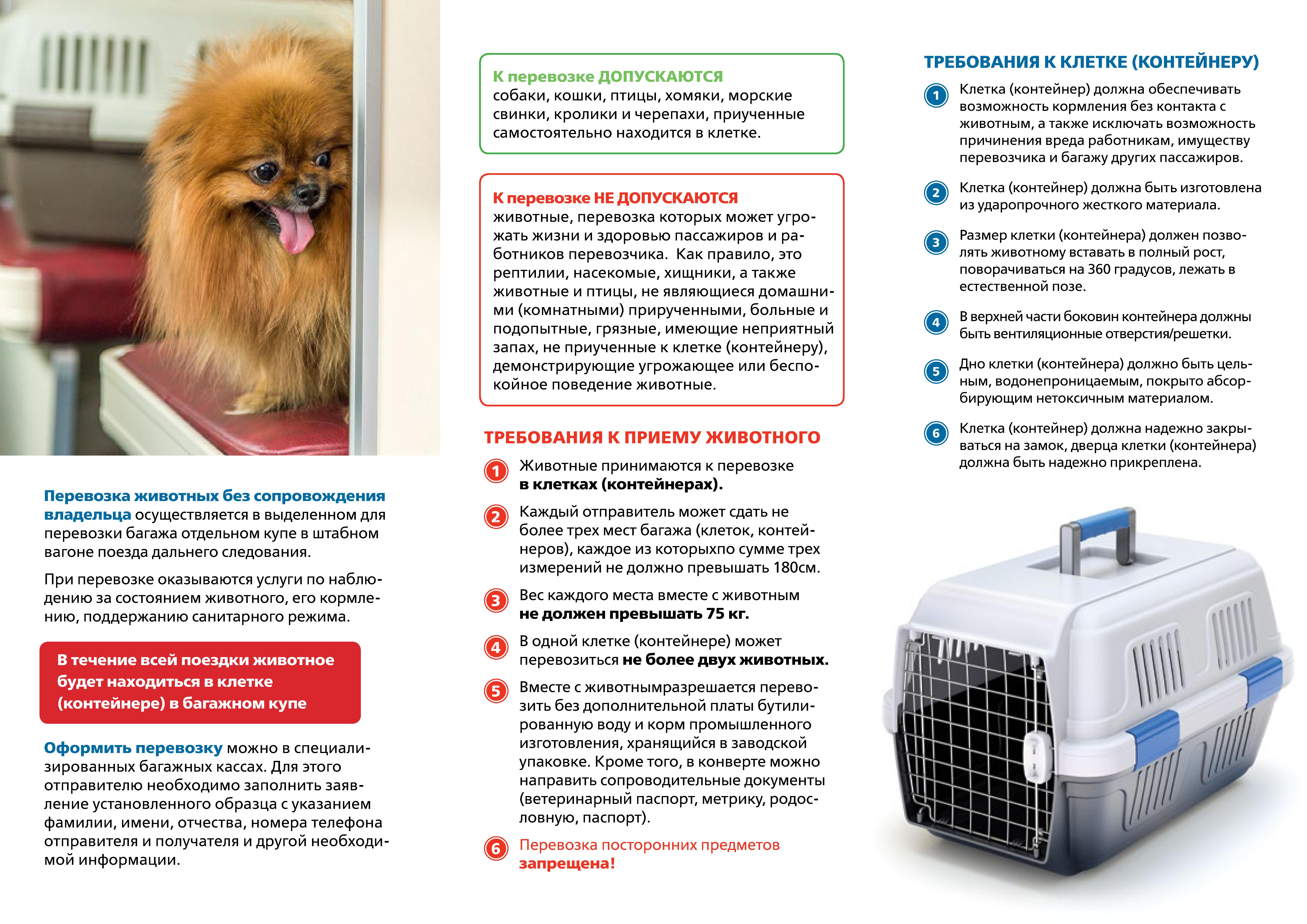 Правила перевозки собак в поезде РЖД 2020 года