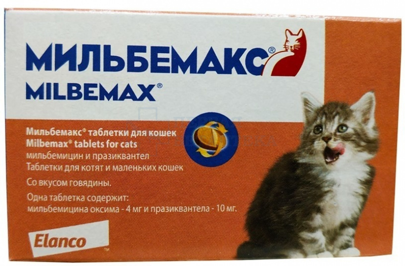 За сколько дней до прививки давать глистогонное кошке