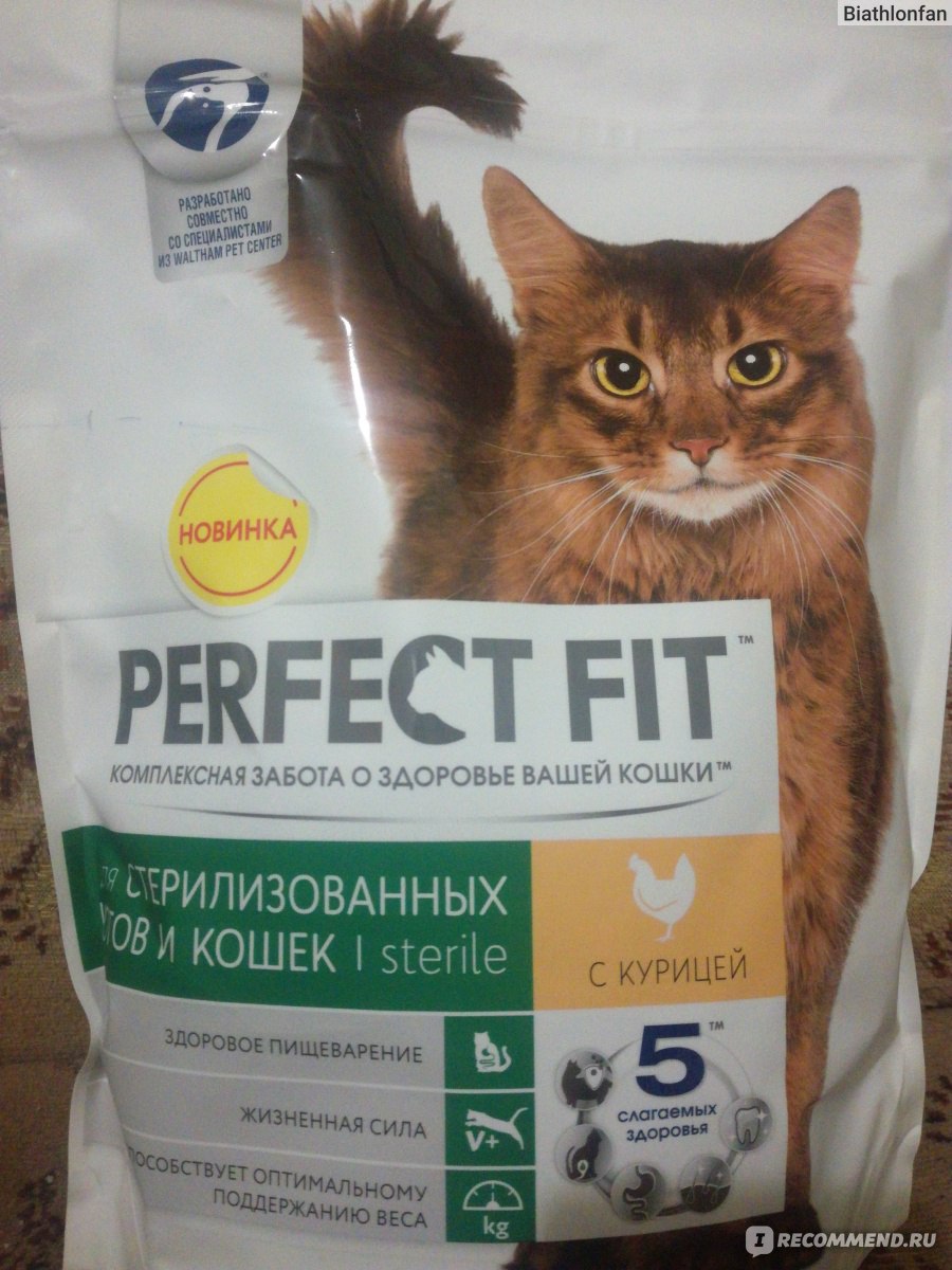 Корм «Перфект Фит» для кошек: может ли продукт стать основой рациона домашнего питомца