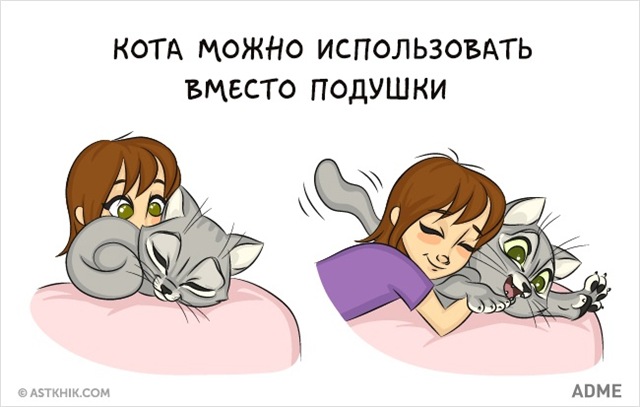 3 главных причины завести вторую кошку