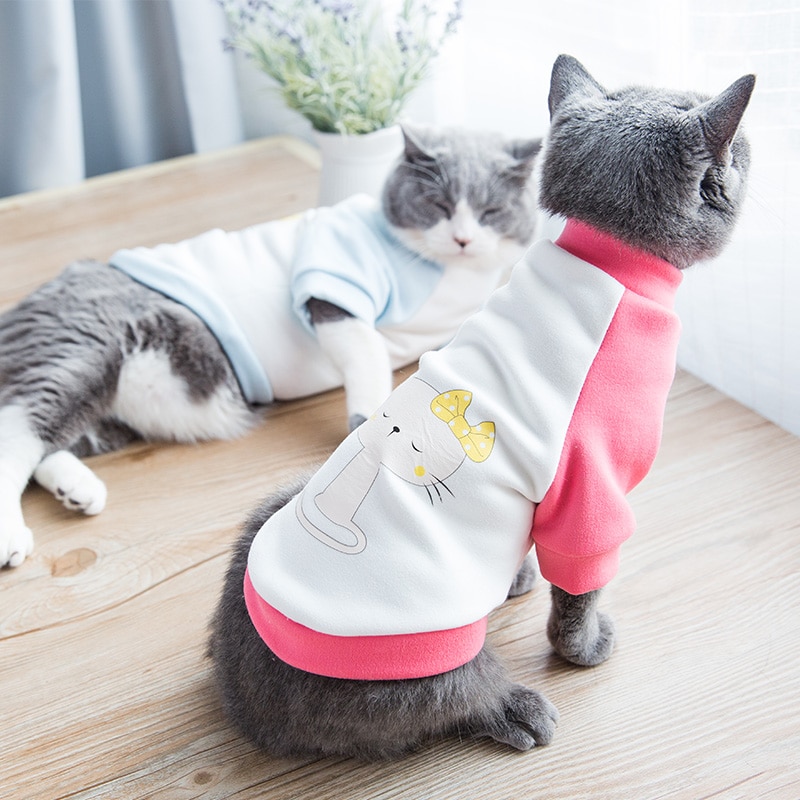Как правильно выбрать и сшить самостоятельно одежду для кота