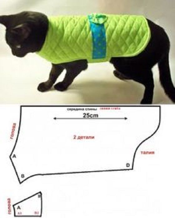 Попона для кошки: примеры как завязать и одеть на животное
