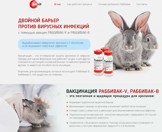 Вакцинация кроликов: какие и когда делать