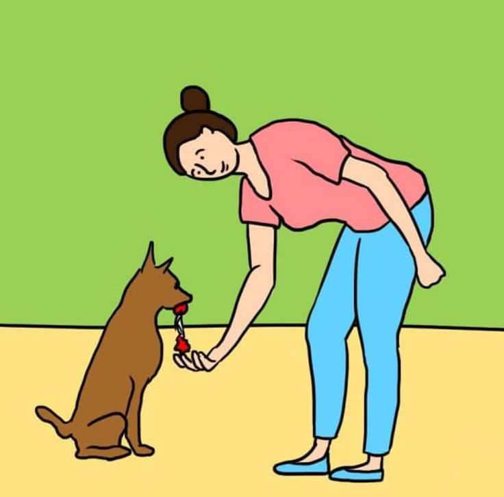 Собака лижет человека за ноги, руки и лицо: почему