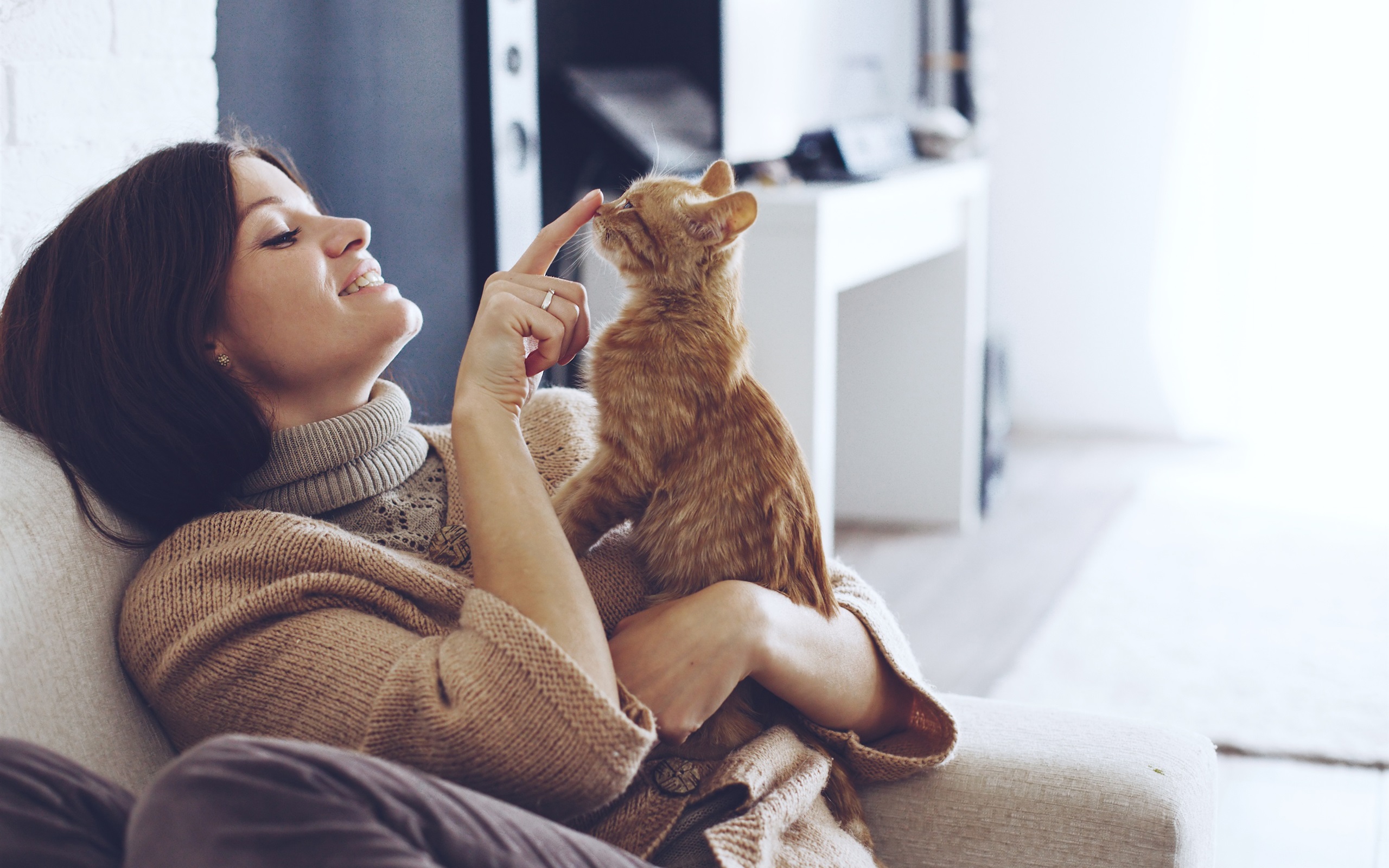 4 способа занять кошку и улучшить ей настроение