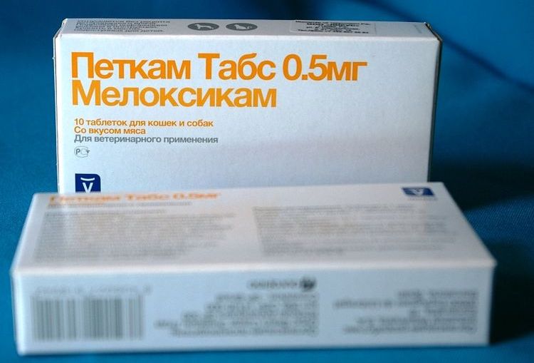 Петкам для собак