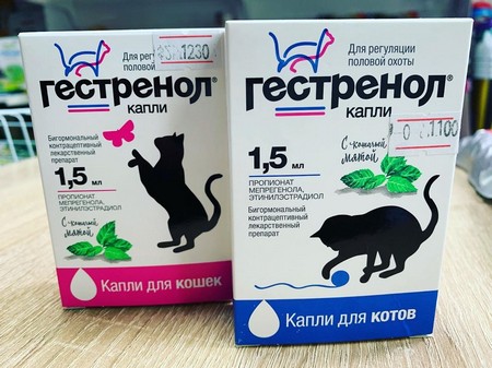 Капли для кошек от гуляния, таблетки, антисекс