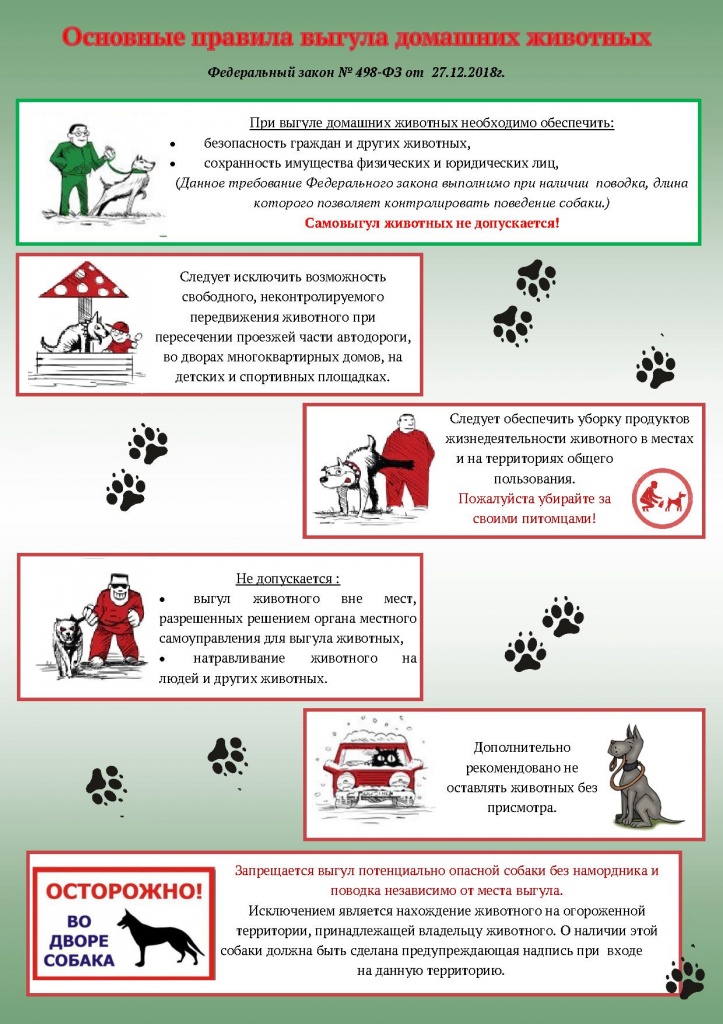 Площадка для выгула для собак: нормы и правила