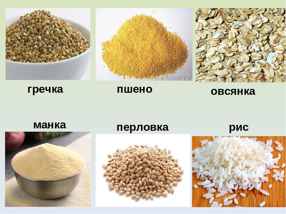 Рис или гречка. Крупы гречка пшено рис перловка. Гречка, пшено,рис, манка, Геркулес, перловка. Овсянка перловка рис гречка. Рис гречка пшено овсянка.