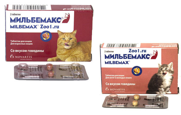 Обзор ветеринарного препарата Мильбемакс