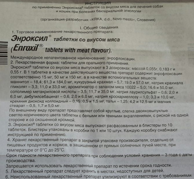 Препарат Энроксил в лечении инфекционных заболеваний у кошек