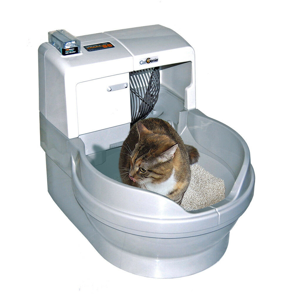 Автоматические туалеты для кошек: обзор популярных моделей