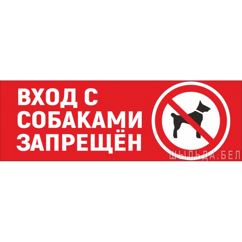 Вход запрещен: почему в магазины нельзя заходить с собаками