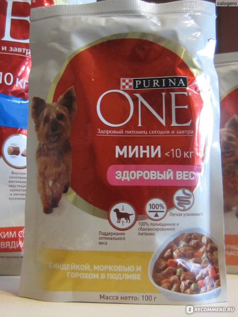Purina One для собак: корм для мелких пород