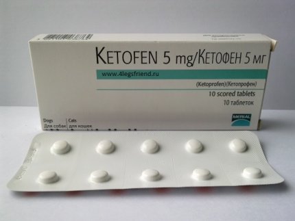 Кетофен для собак