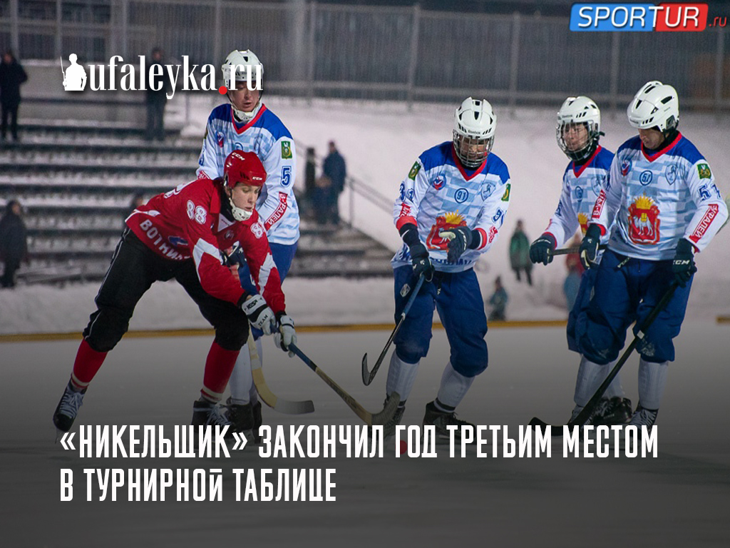 Разница между британскими и шотландскими котами