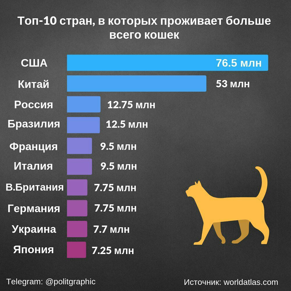 Толстые собаки: самые жирные питомцы в мире
