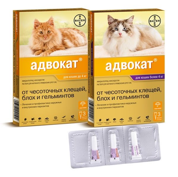 Капли Адвокат для кошек: инструкция по применению
