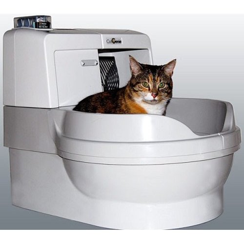 Автоматические туалеты для кошек: обзор популярных моделей