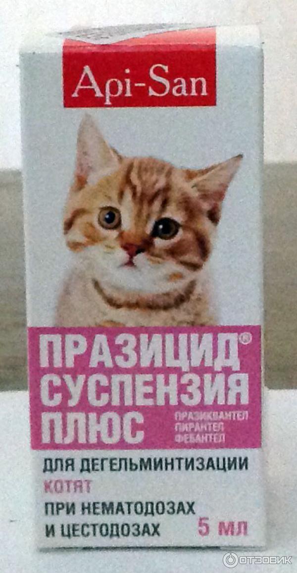 Празицид для кошек от глистов