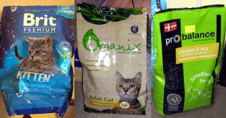 Влажный корм для кошек: рейтинг лучших по мнению ветеринаров